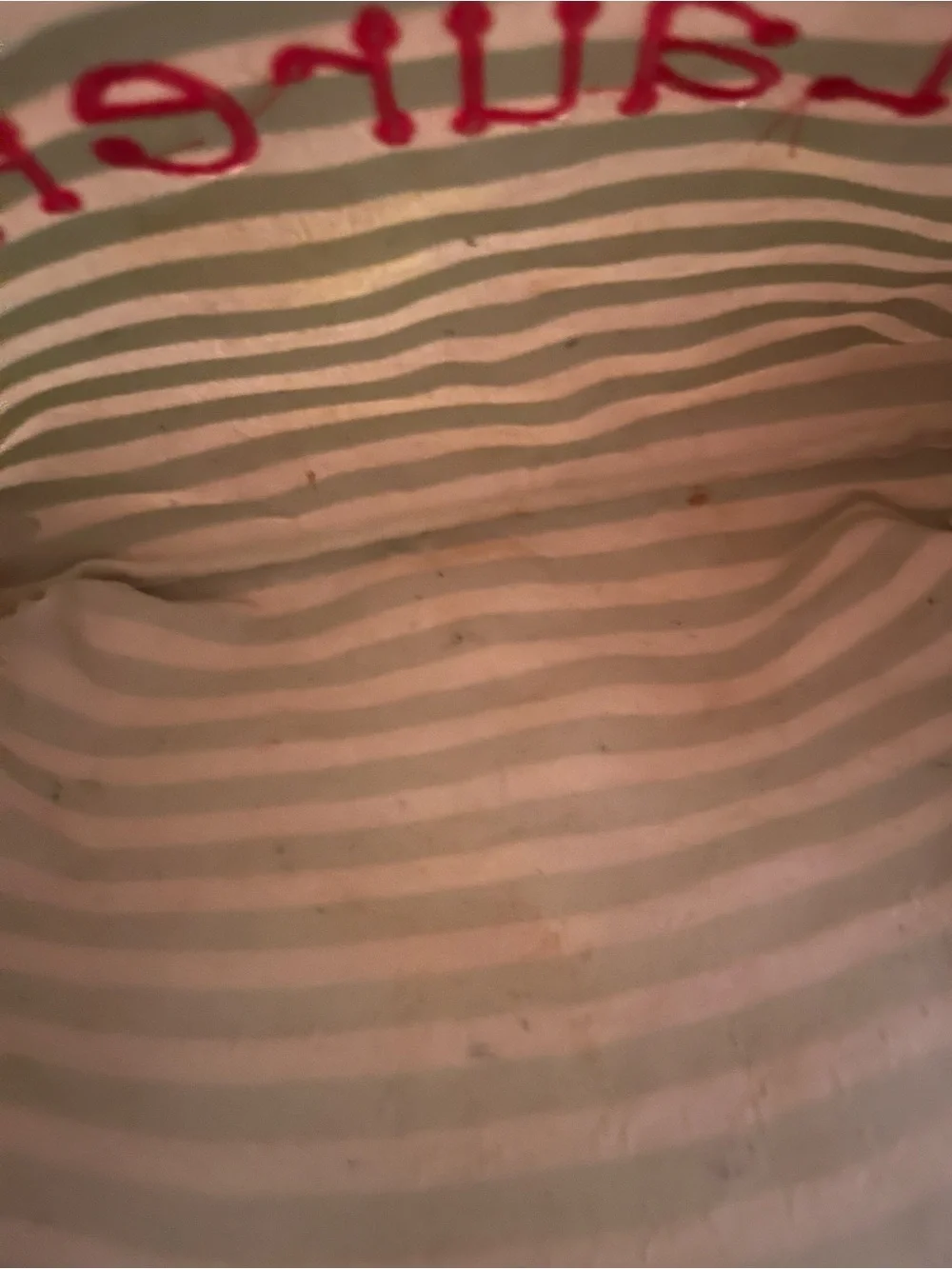 thirty-one Green and White Striped Cosmetic Bag with Pink Embroidery